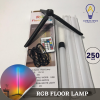 RGB Floor Lamp